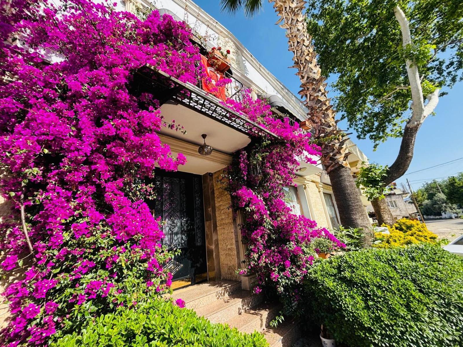 Saint John Hotel Selçuk Dış mekan fotoğraf